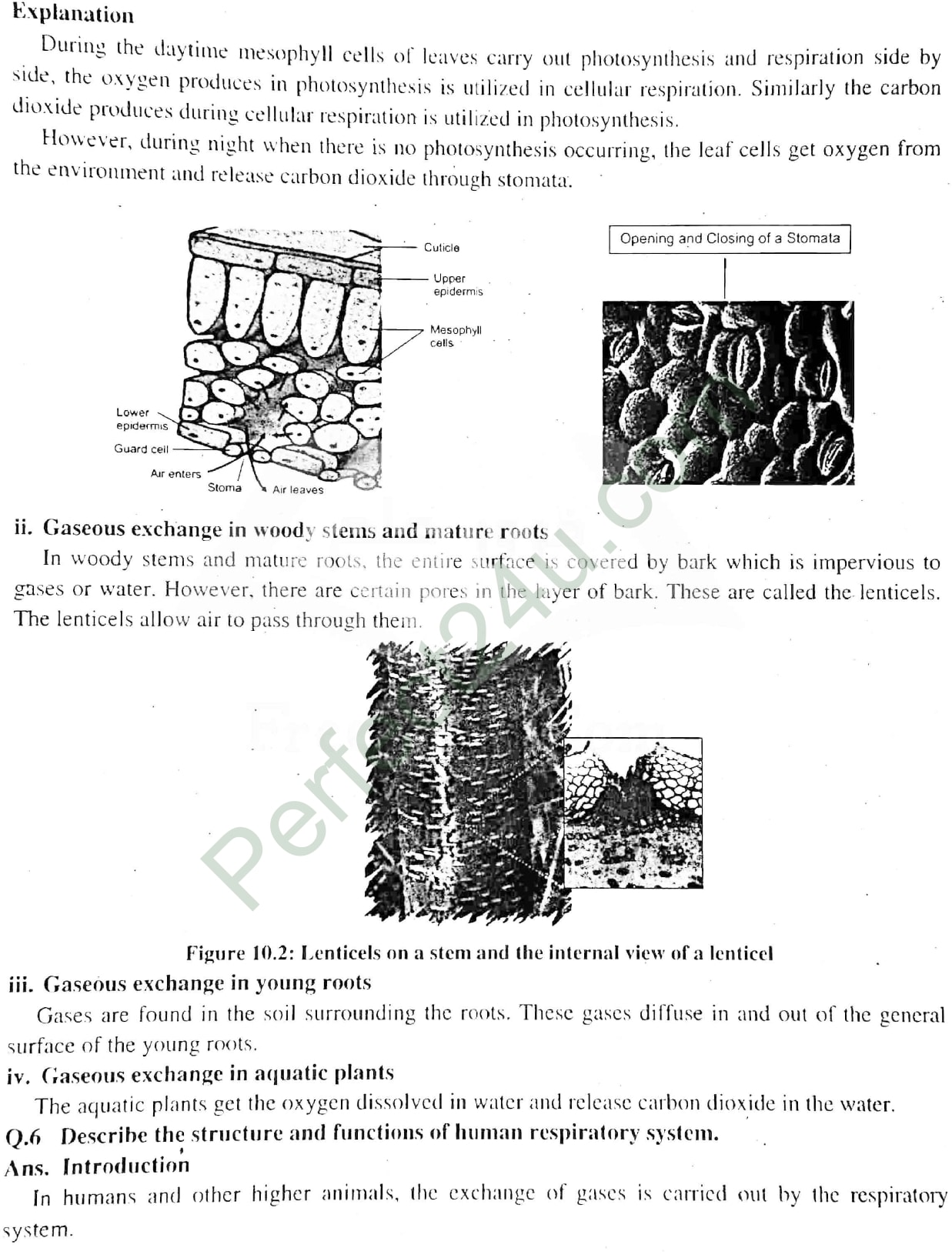 Biology Class X Notes Punjab Board Pdf Download | Eng Medium | Urdu Medium