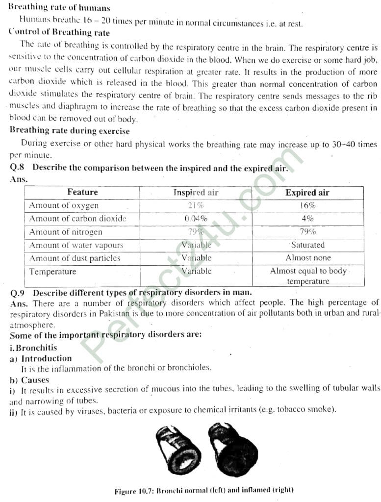Bio Class 10 Notes.pdf Biology Class X Notes Punjab Board Pdf Download | Eng Medium | Urdu Medium