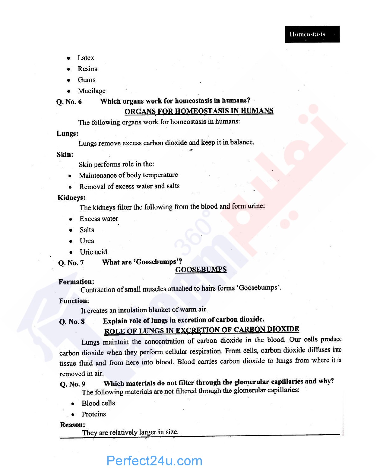Homeostasis Biology Notes Cha 2 Grade X For Sindh Board