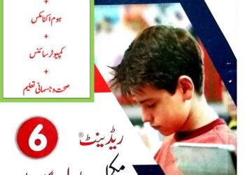Urdu Medium Arabic, Home Economic Computer Sc, HPE Class 6 KPK Board