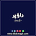 Dao Par Novel By Areej Chaudhary