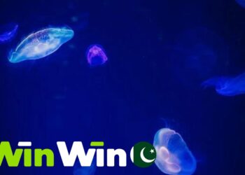 WinWin: Exploring the Features That Set It Apart